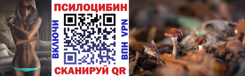 мориарти телеграм  Лянтор  Галлюциногенные грибы Magic Shrooms 