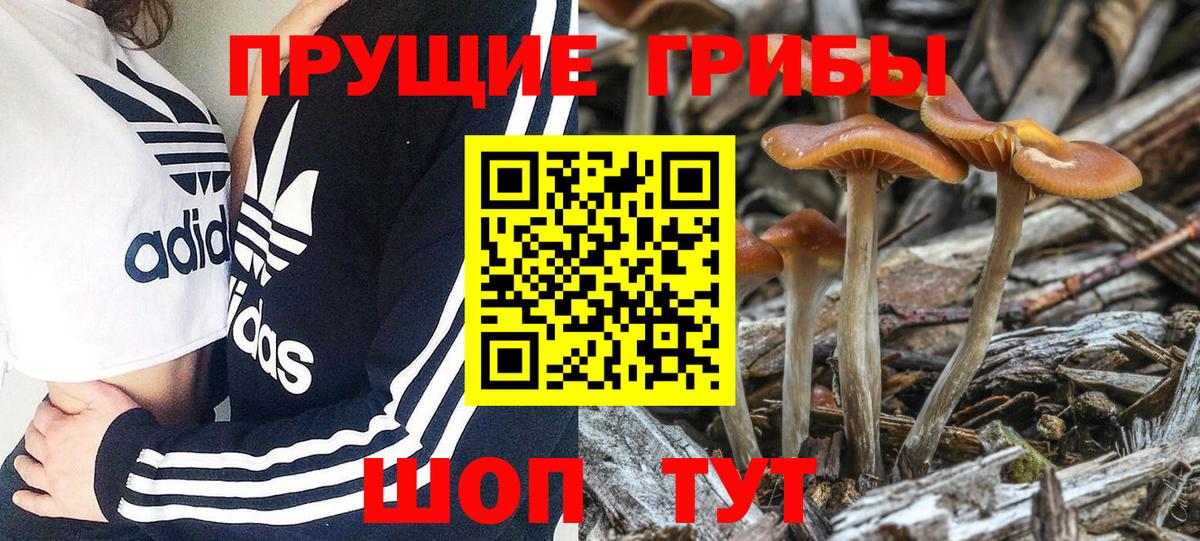 ГАШИШ  Лянтор  Экстази  Мефедрон  Вход с VPN  COCAIN  Марихуана  Мед  Амфетамин 
