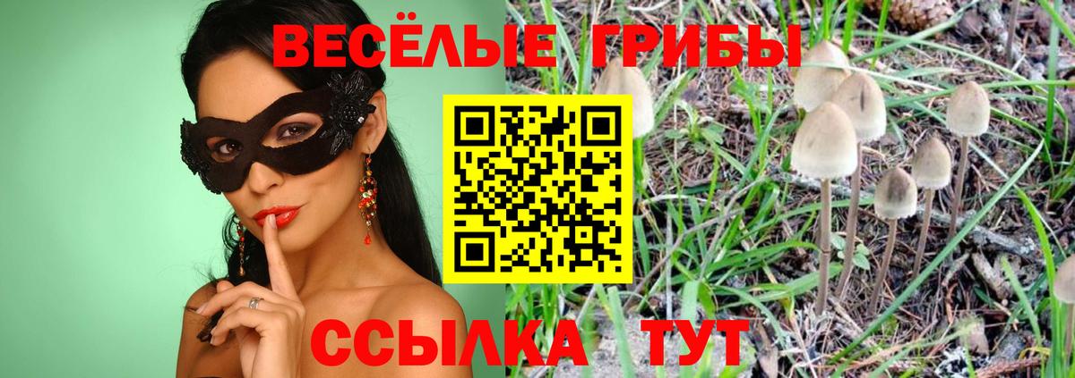 Галлюциногенные грибы мухоморы  Вход с VPN  Псилоцибиновые грибы GOLDEN TEACHER  Лянтор 