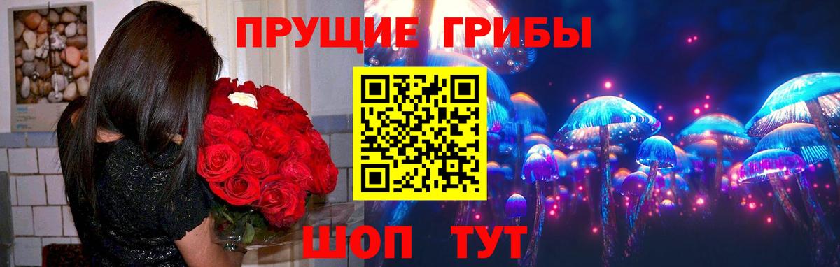 Псилоцибиновые грибы GOLDEN TEACHER Лянтор